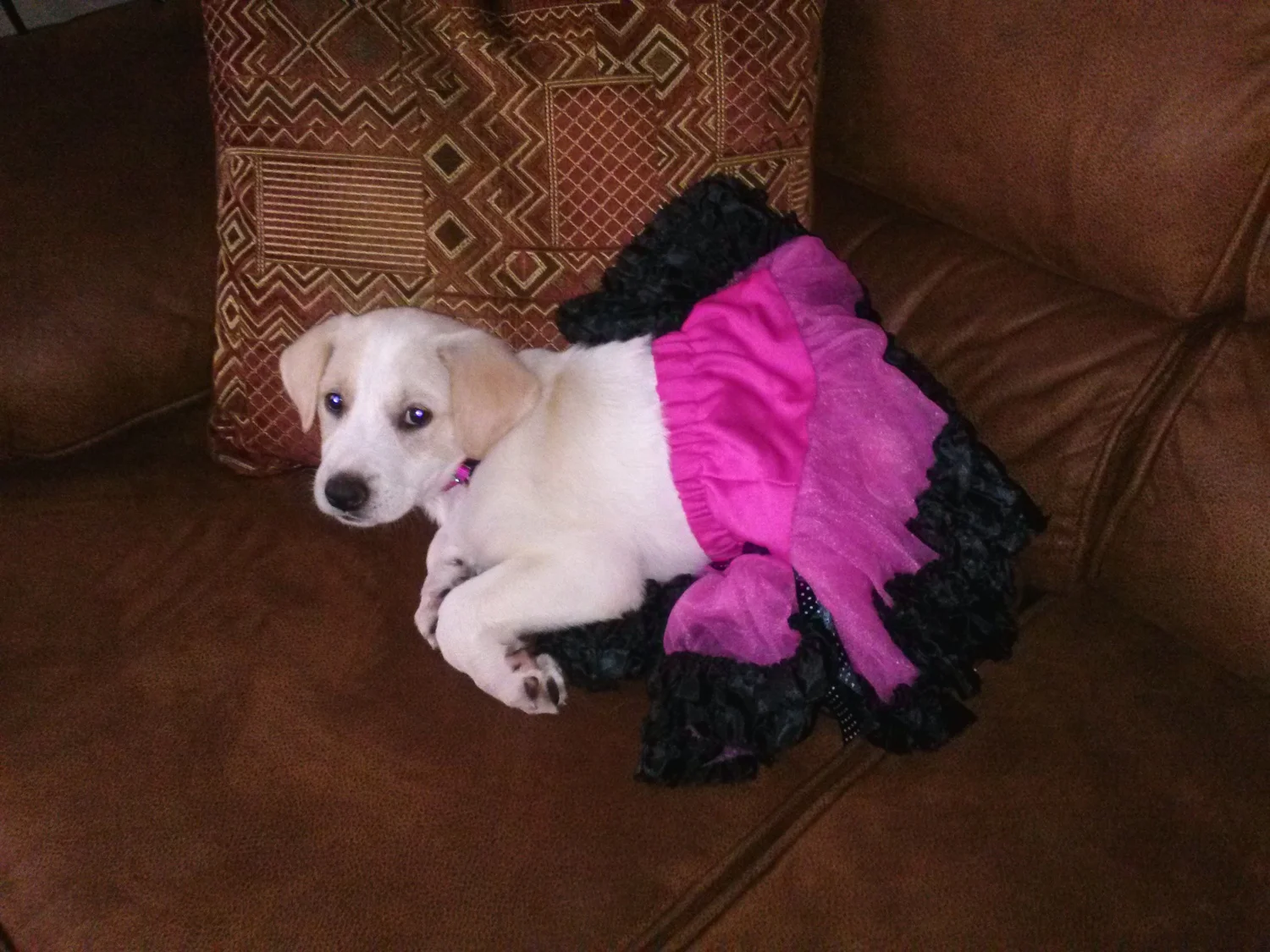 Mindy, A Part of the Union Which Makes Our Family