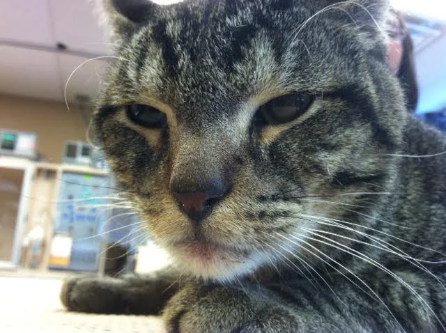 Rain Means the World to Me and My Family