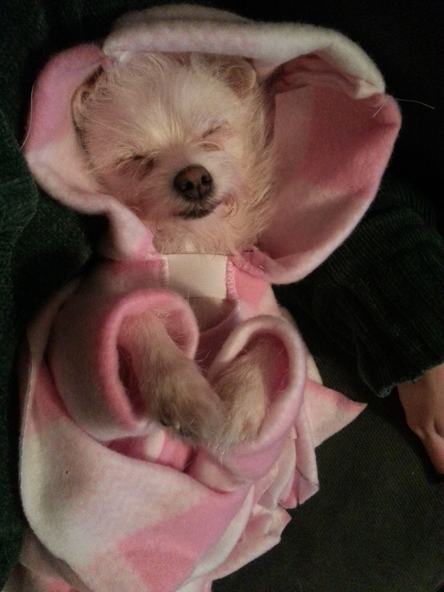 Nola is at Home Now Taking Care of Her Family