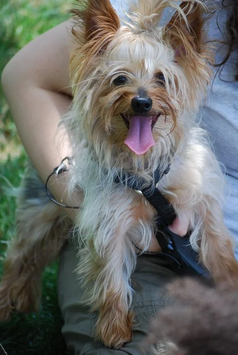 Gizmo is Happier than He's Ever Been!