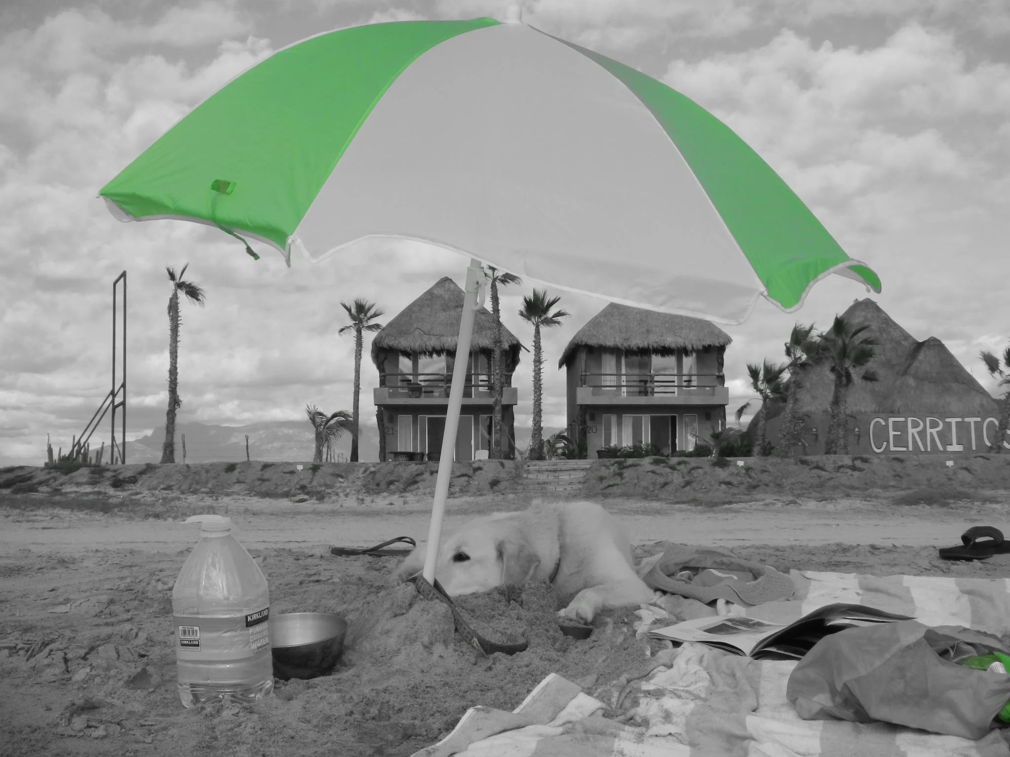 We Love You Sweet Kaya Girl!