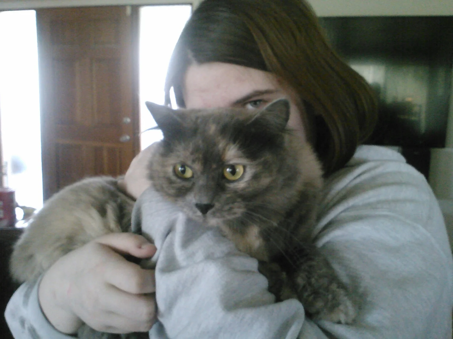 Poof and Cyclops - Two of Our Beloved Cats Helped by Frankie's Friends