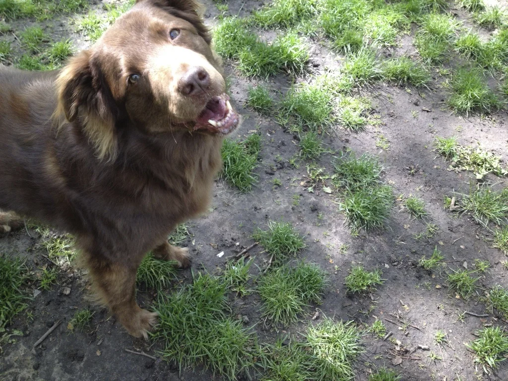 Thank You from the Bottom of Our Forever-Entwined Hearts