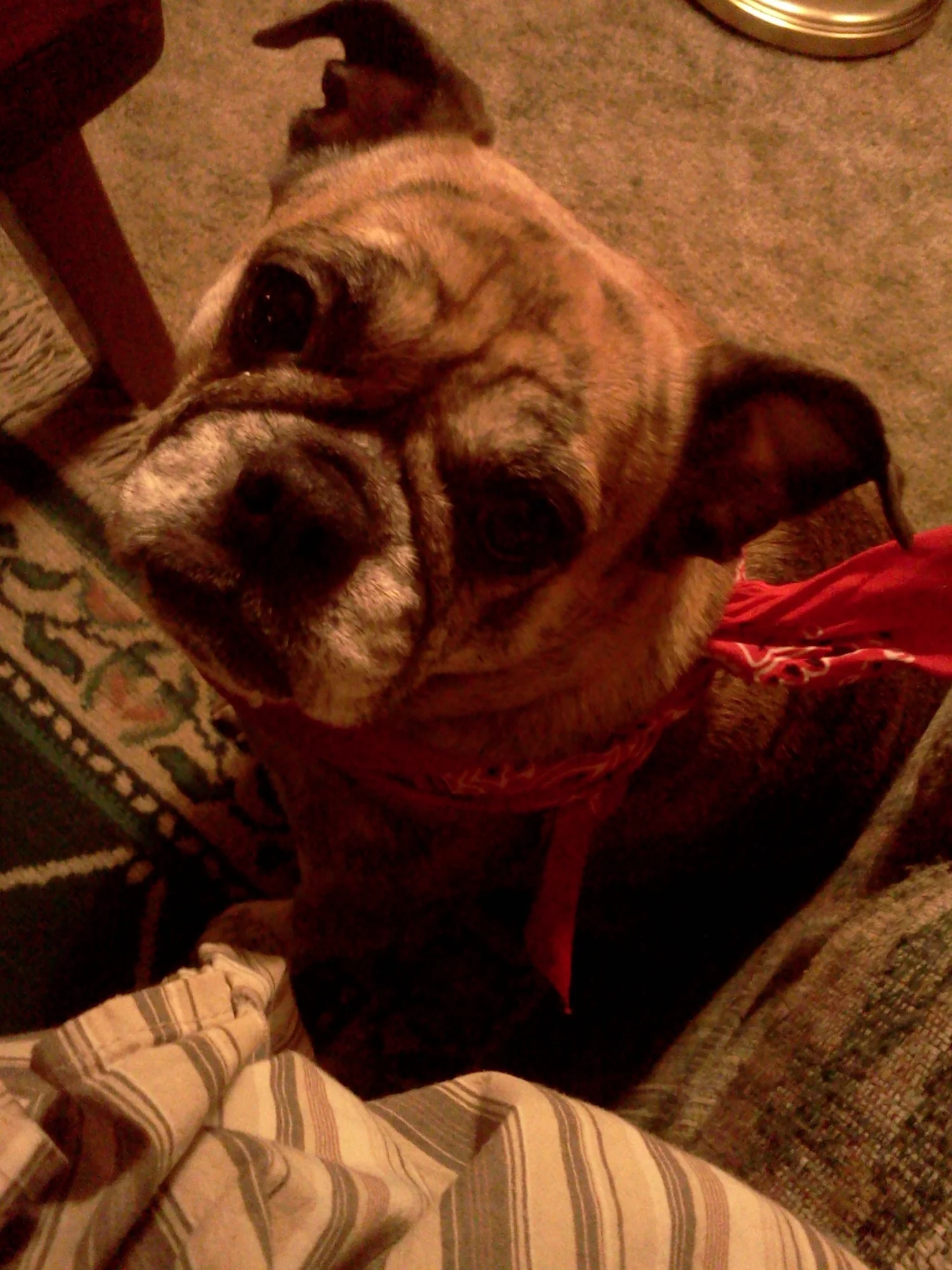 Precious Time with Mattie