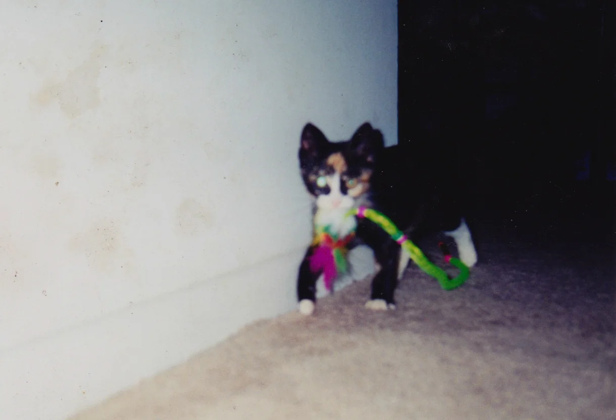 Callie, We Will Love and Miss You Always