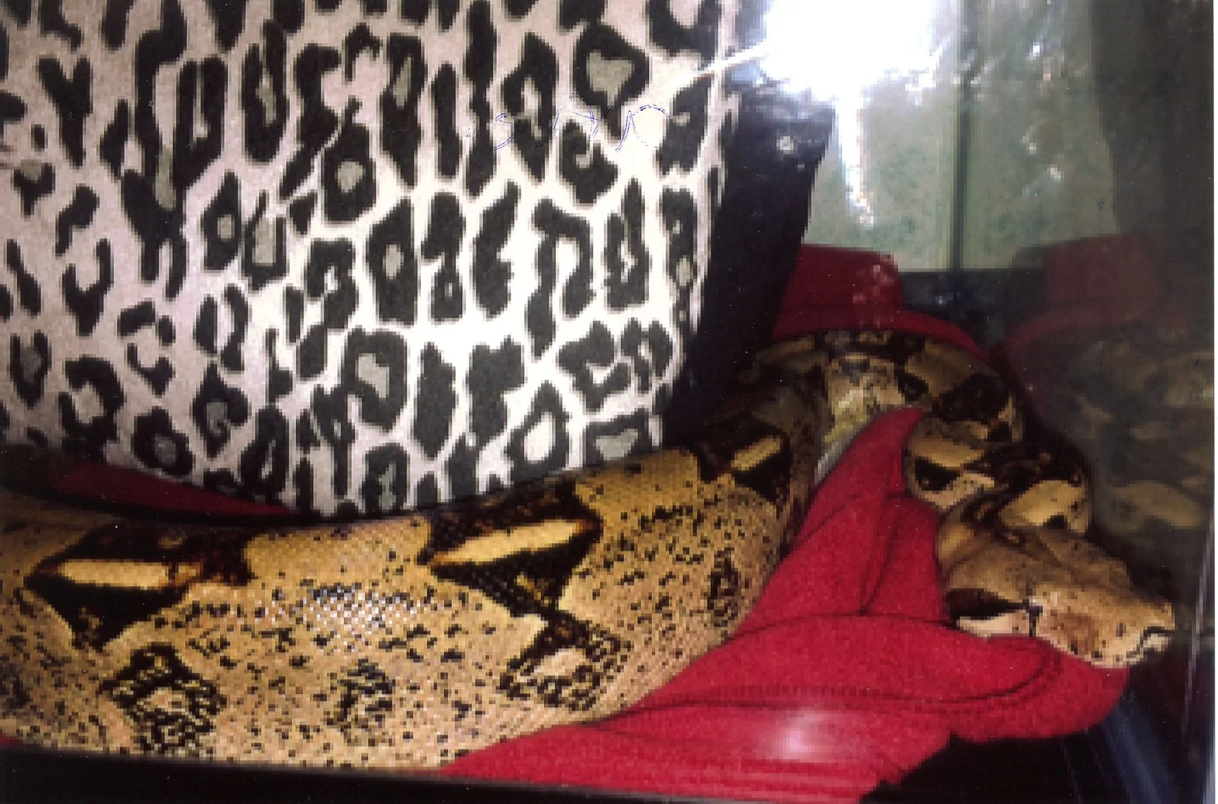 Killer, My Heart Ached for His Life