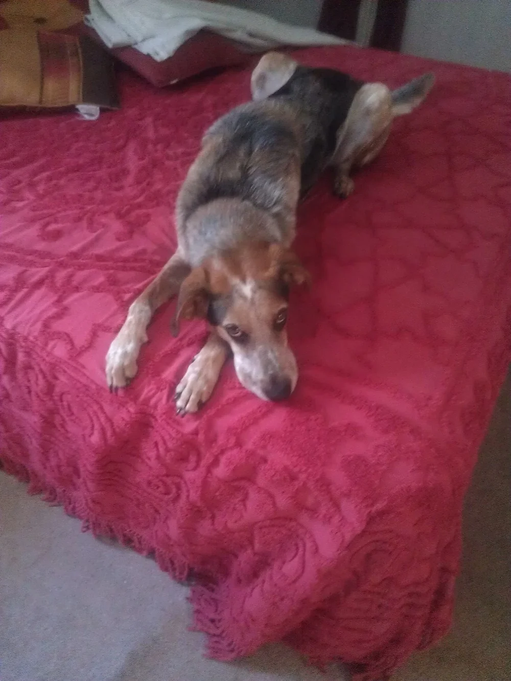 Thank You Again - We Love Ash!