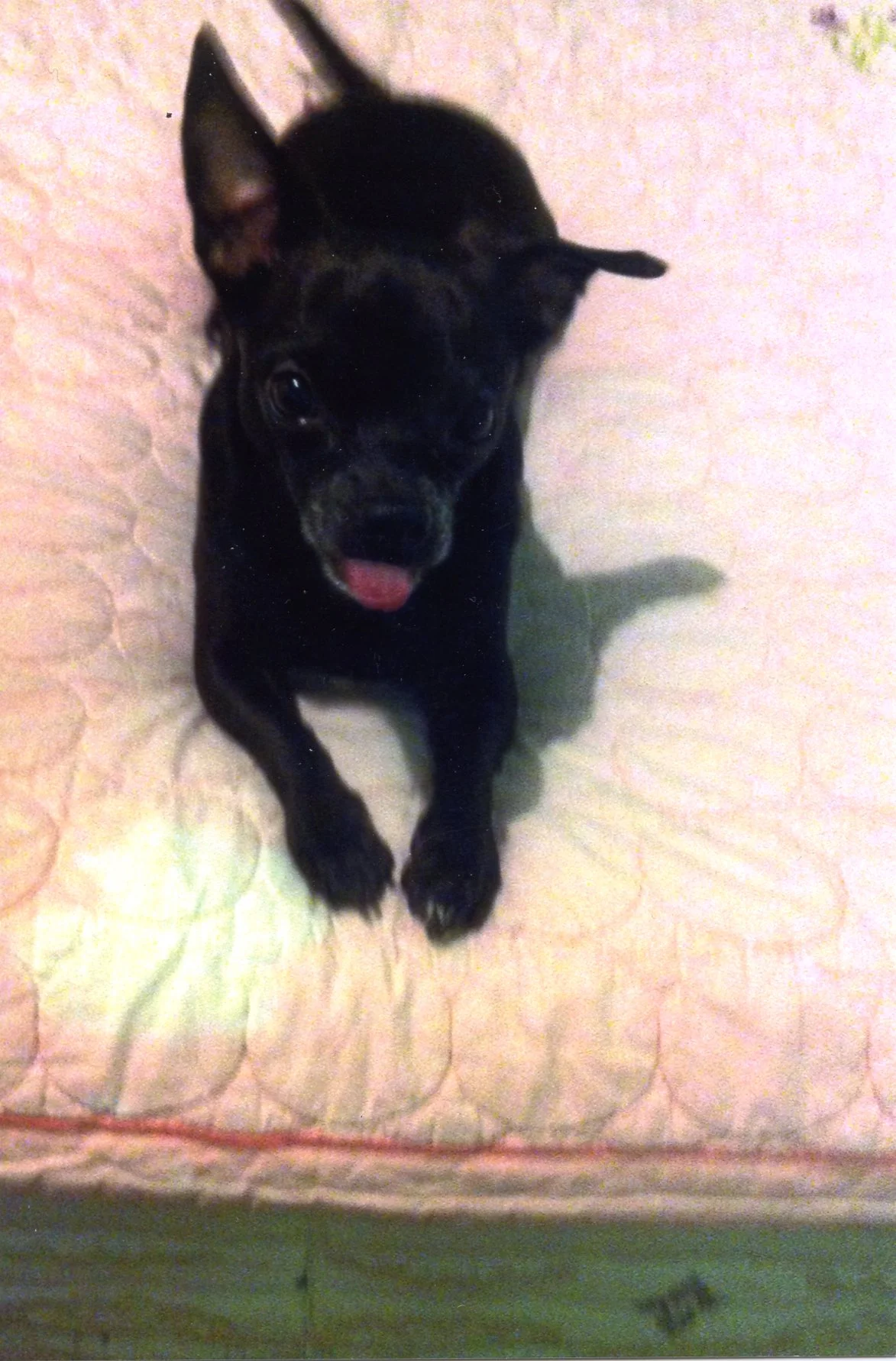 Thank You from the Bottom of Our Hearts