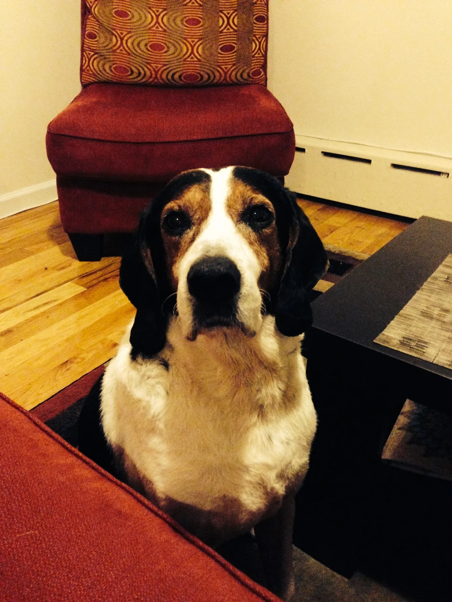 Hope is Blooming for Albie Thanks to the Eddie Croman Fund