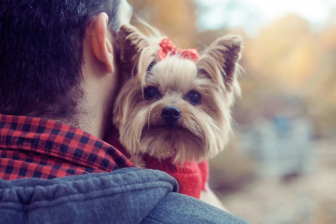 Ginger - A Super Hero with Help From the Zeus Varis Fund