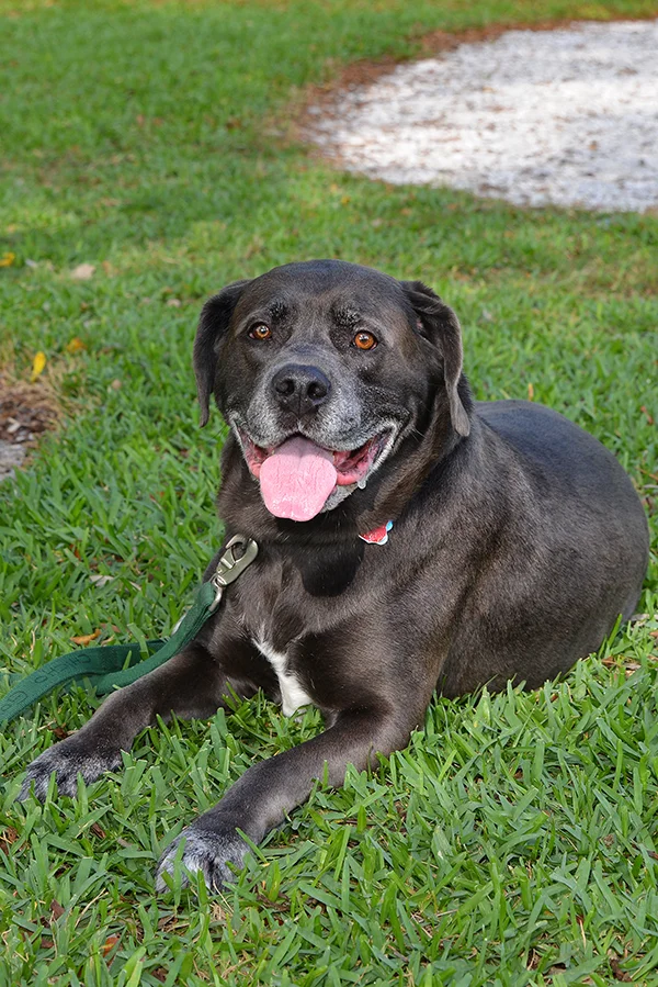 Chicho is Feeling So Much Better!