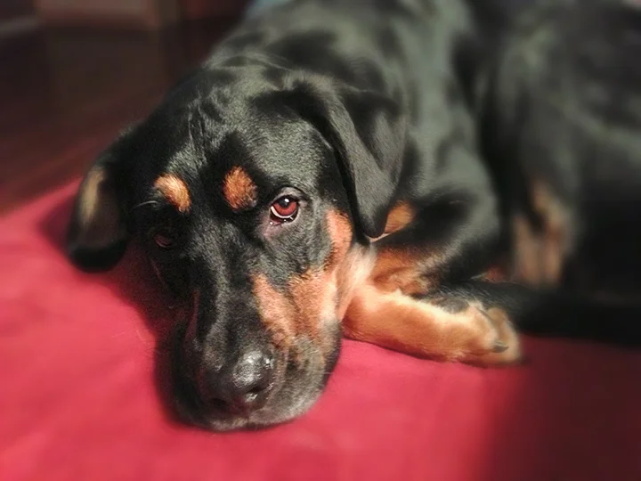 Axel is a Blessing...