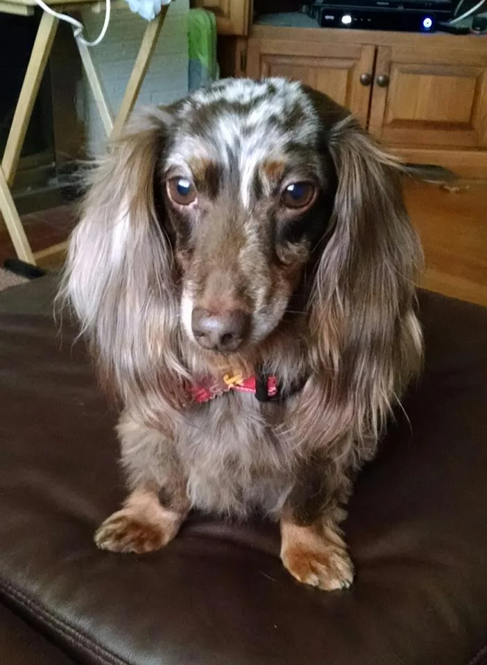 Ronnie Was Our Blessing