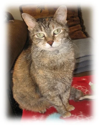 Molly, An Independent Soul