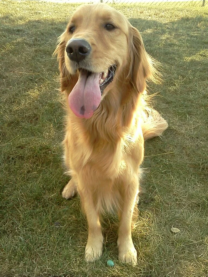 Tori, Her Spirit Will Live Forever