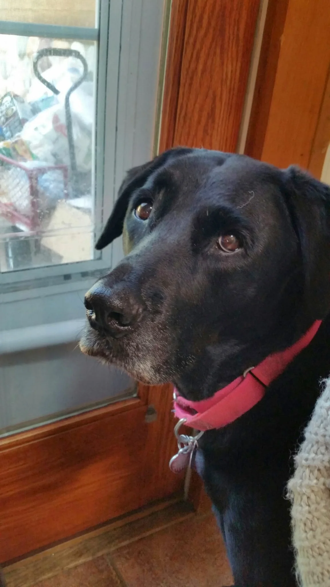 Morgan, the Center of Our World