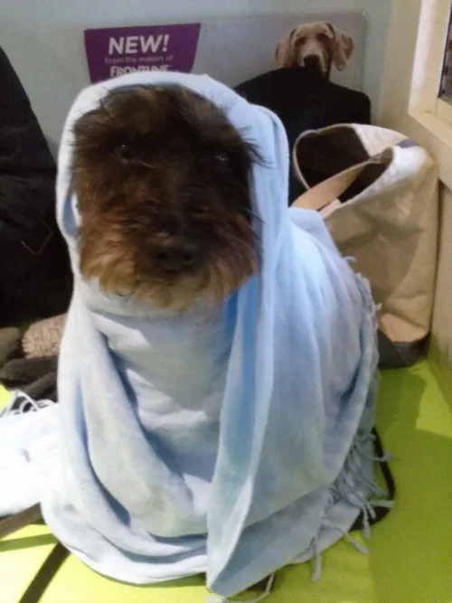 Rocket Gives us SO Much Love!