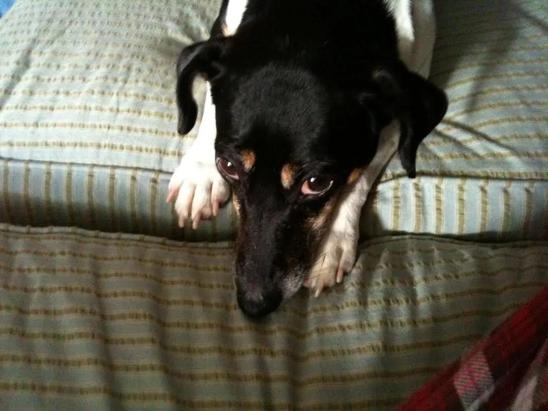 Thank You for Helping Montana Live a Longer and Happier Life