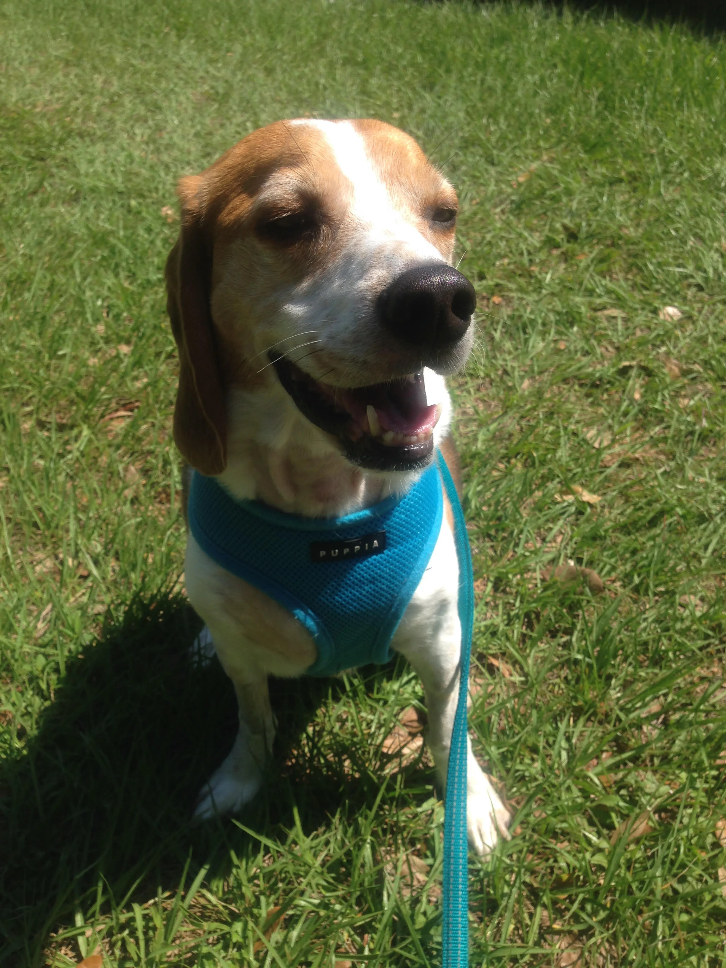 Thank You From the Bottom of Our Hearts for Helping Marley