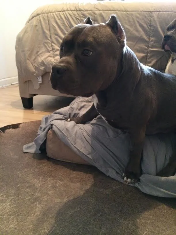 Thank You for Providing a Strong Support System for Major