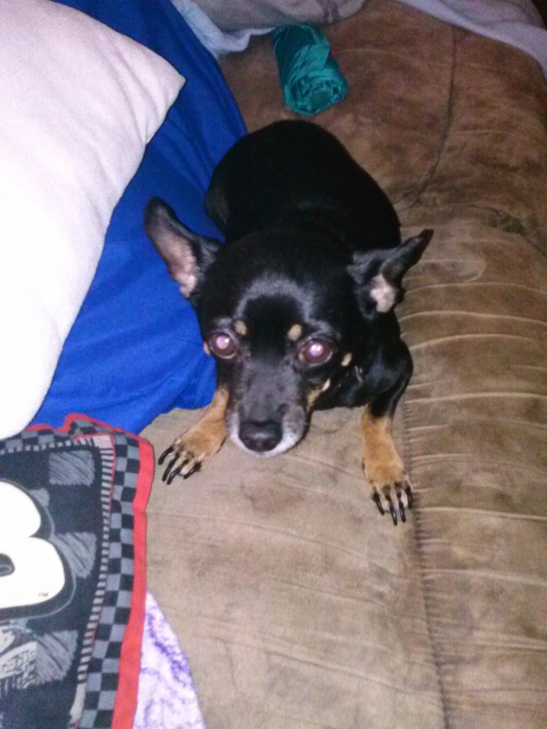 Thank you for Helping Roxy - She is My Everything