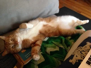 Sincere Gratitude for Saving Raja - He is My Heart