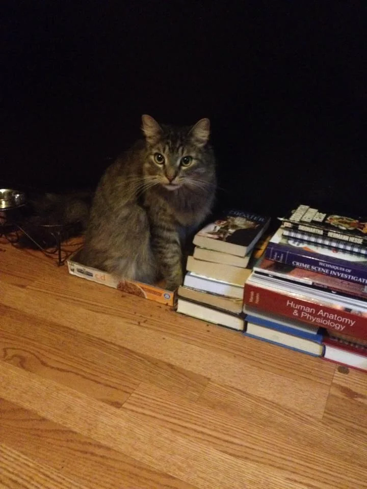 Frankie's Friends Helped to Keep My Best Bubba Max Alive