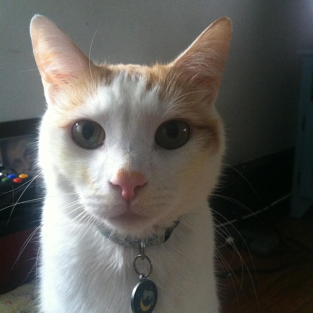 Eddie Will Be Forever Missed