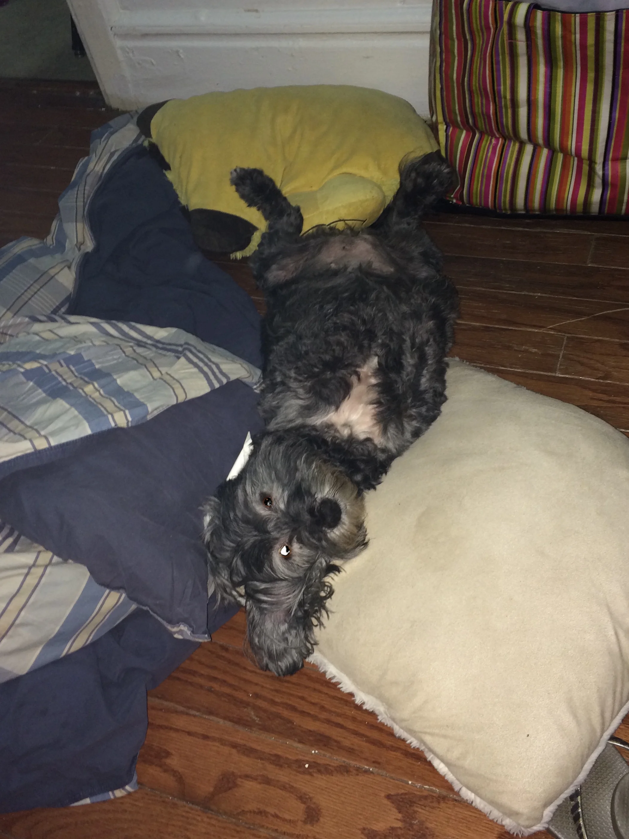 Thank you for extending Baby Girls' life