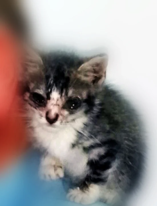 Albert Thanks You Too!