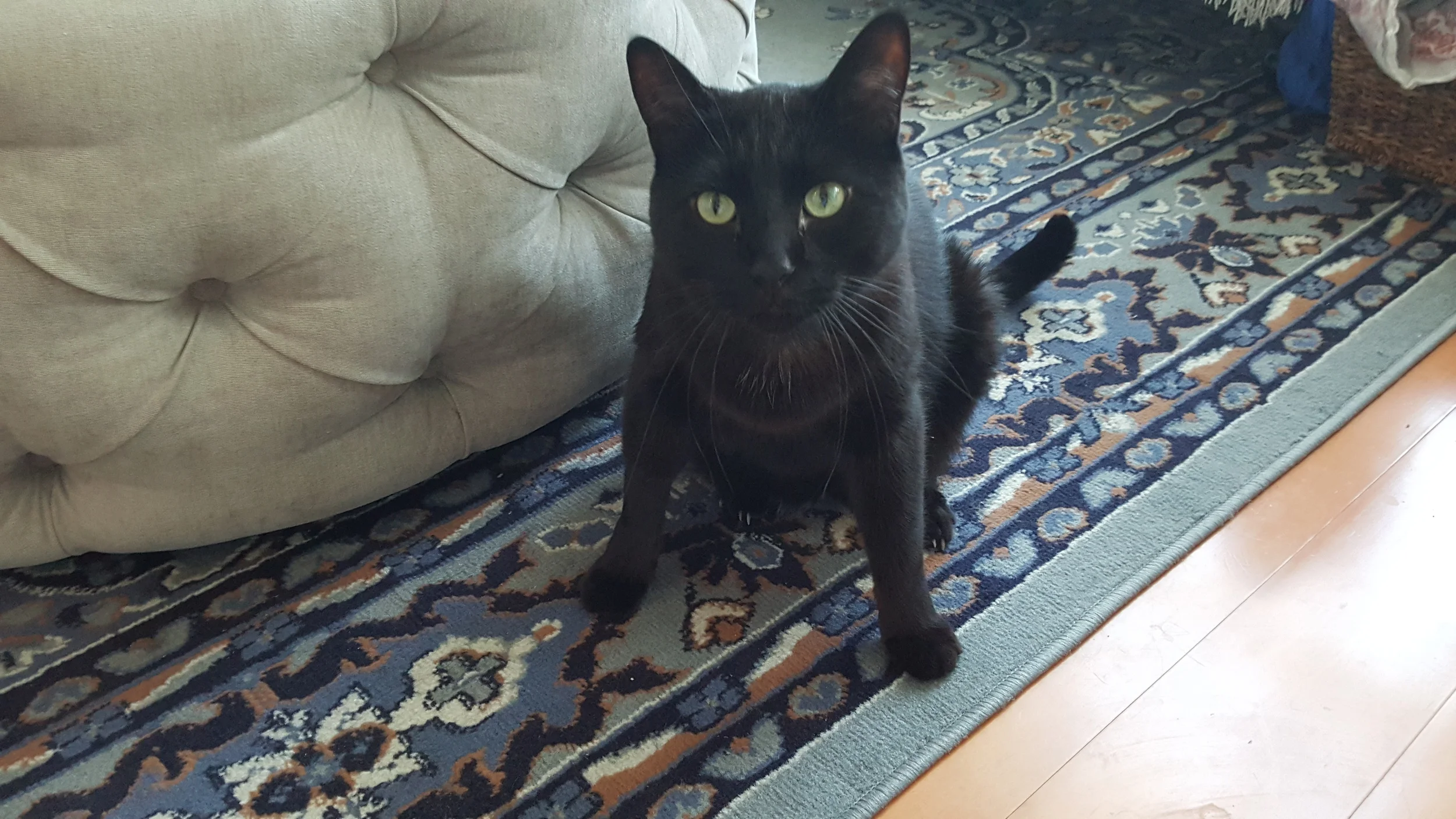 Charles Deserves to Live a Full, Comfortable Life