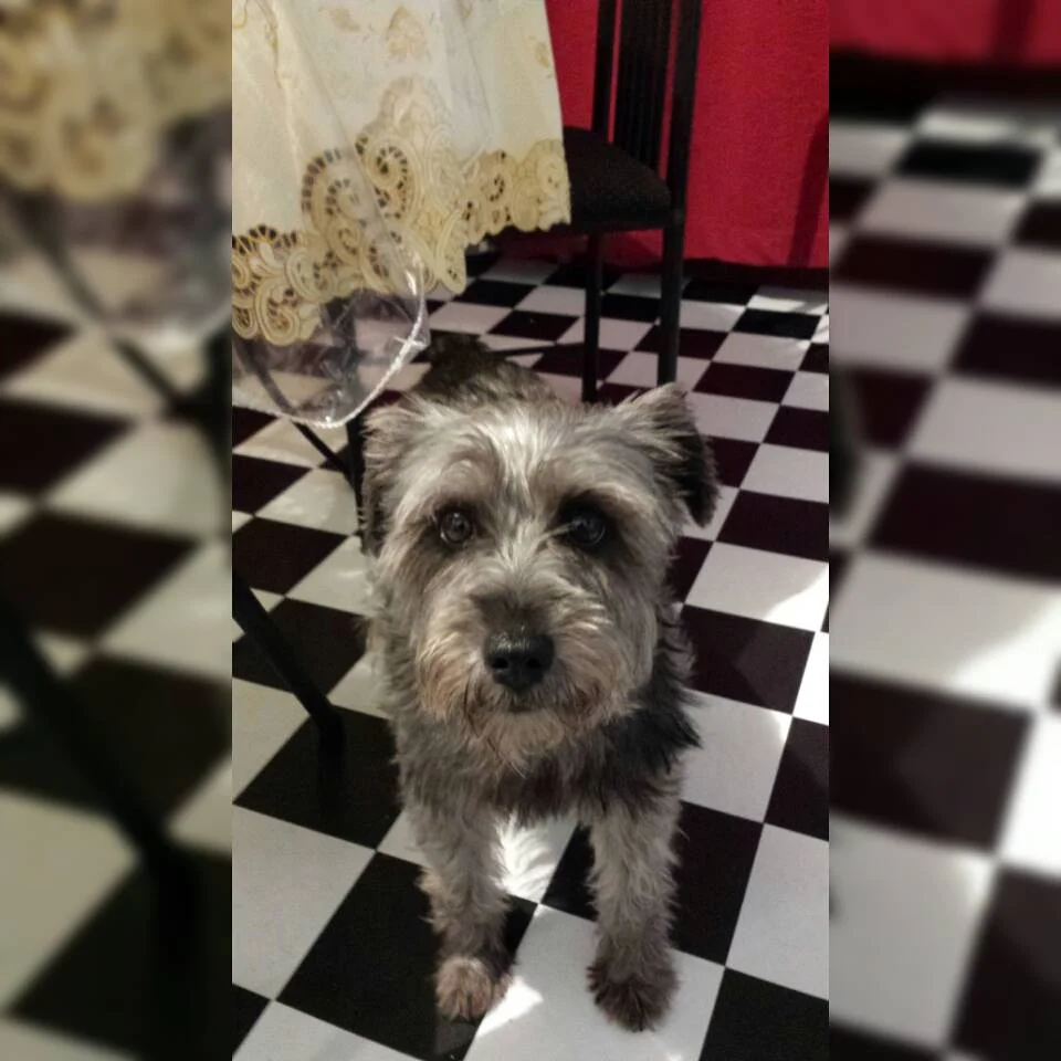 Thank You for Saving Precious