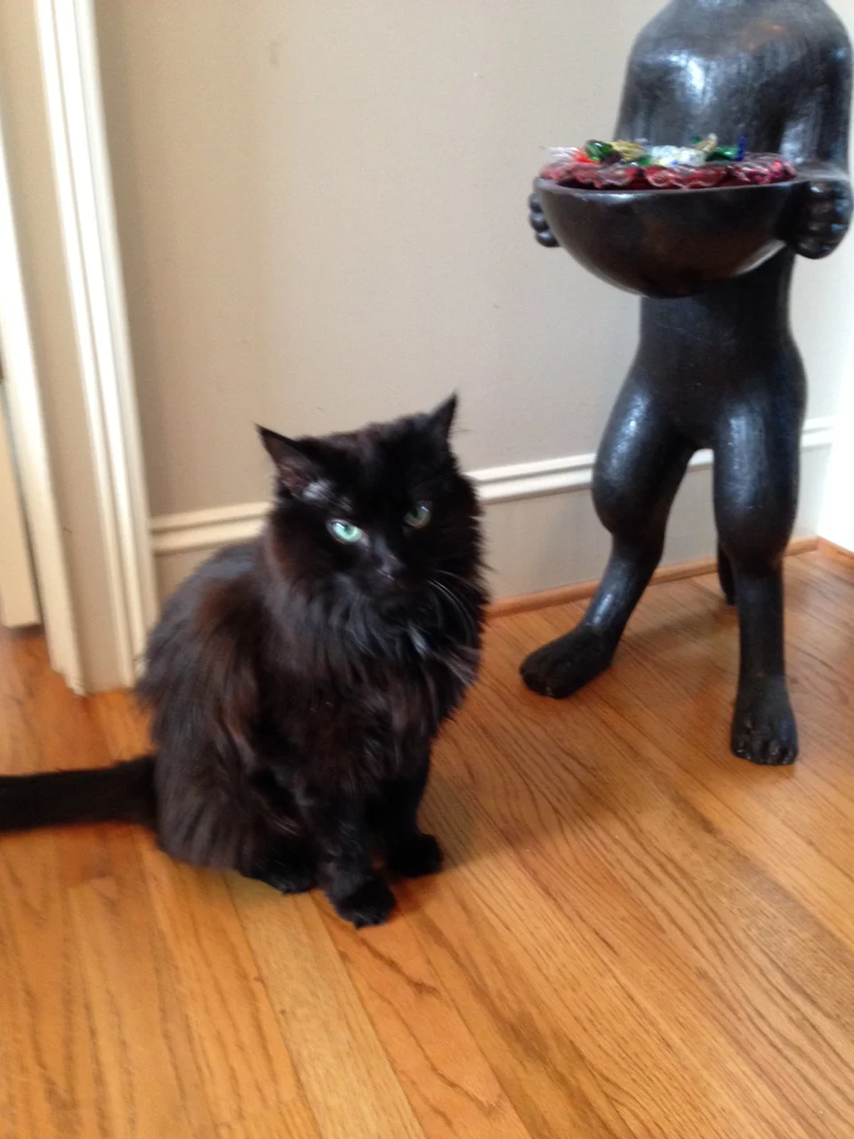 Beloved Maxwell Orloff