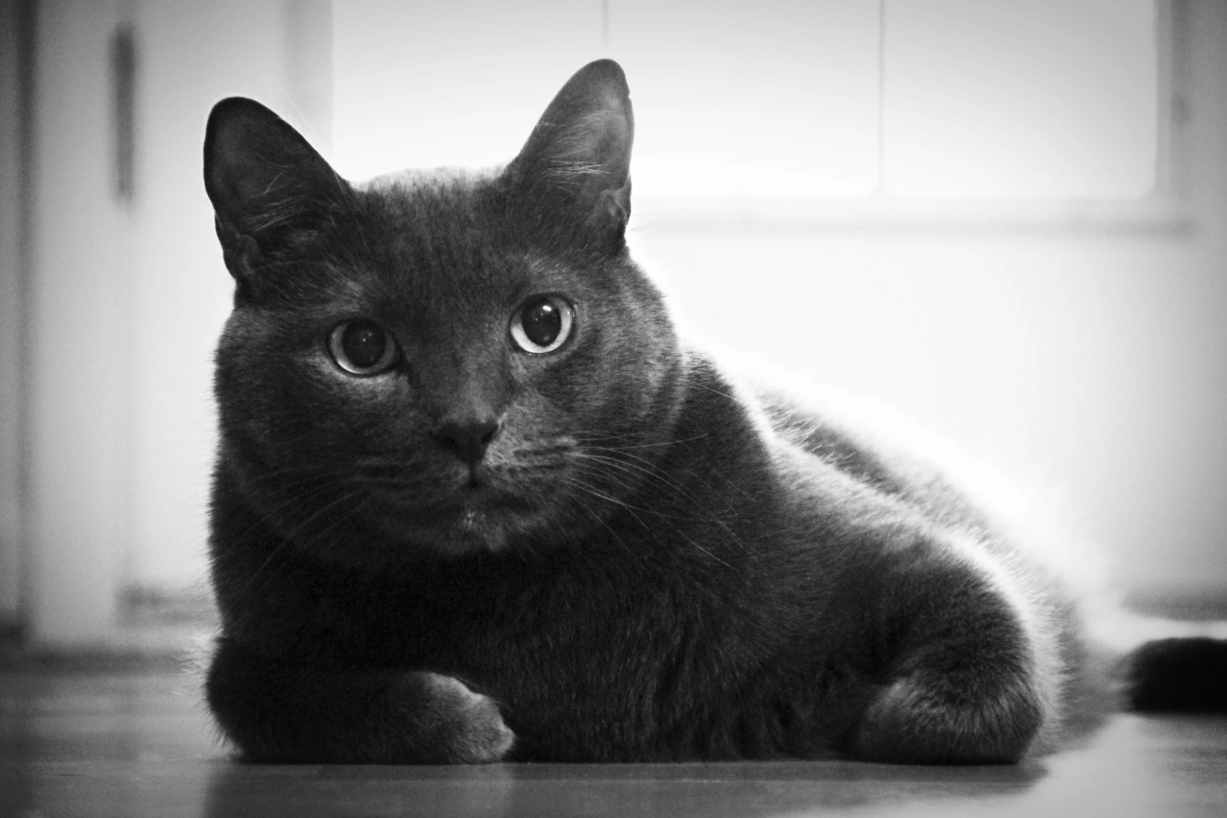 Your Help Was a Blessing for Reilly