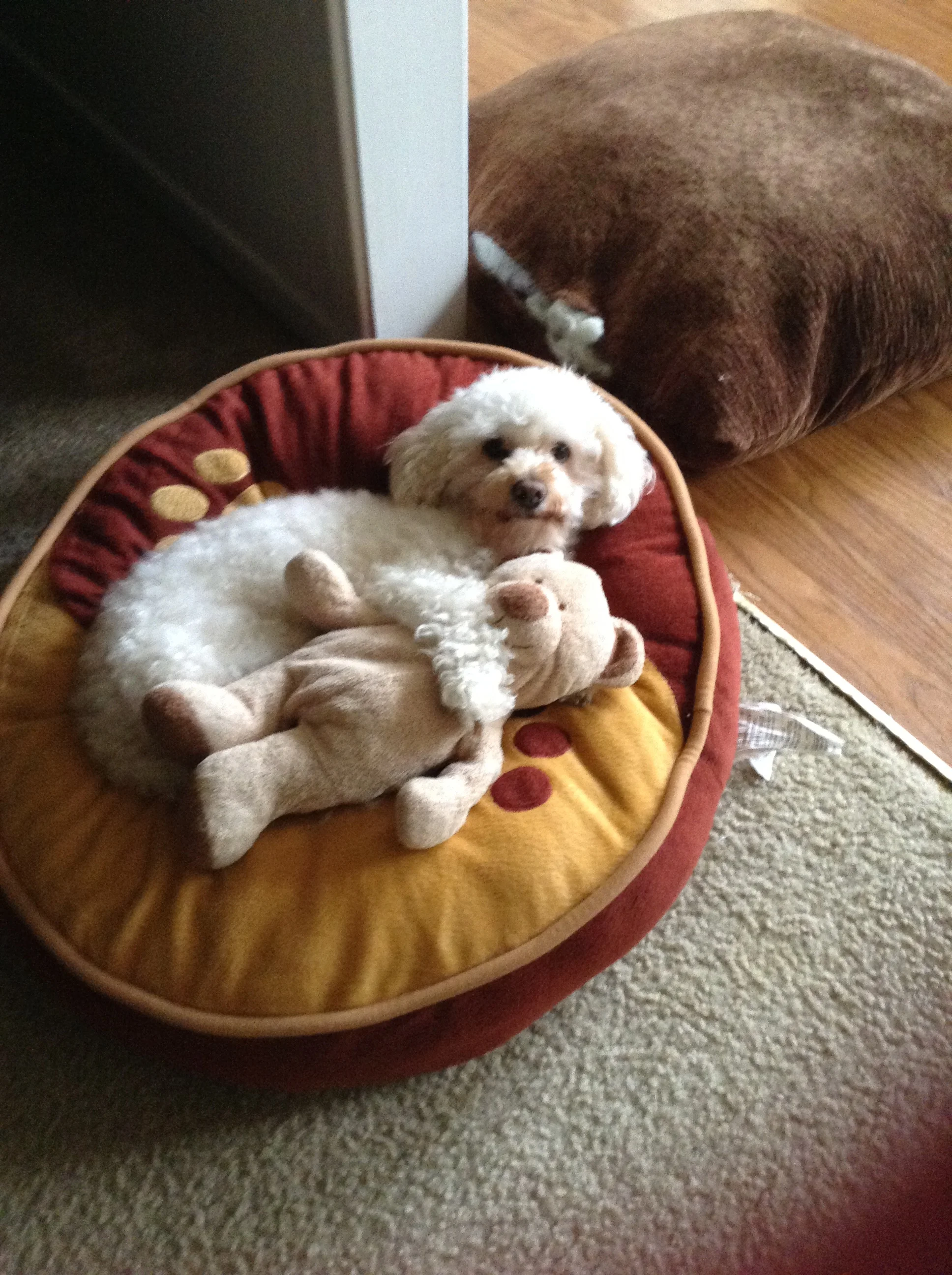 We are Grateful for Mia Every Day. Thank You for Your Help.