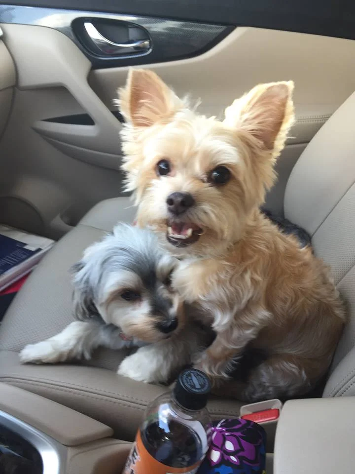 Mako Is Doing Much Better! Thanks so Much!