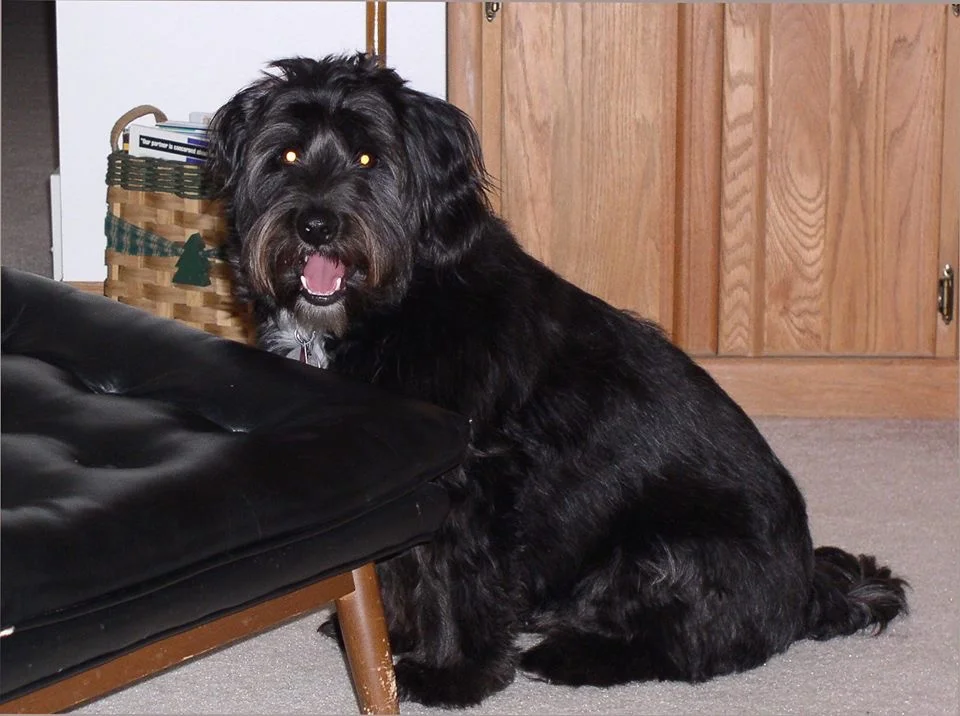 Charming Charlie, In My Heart Forever