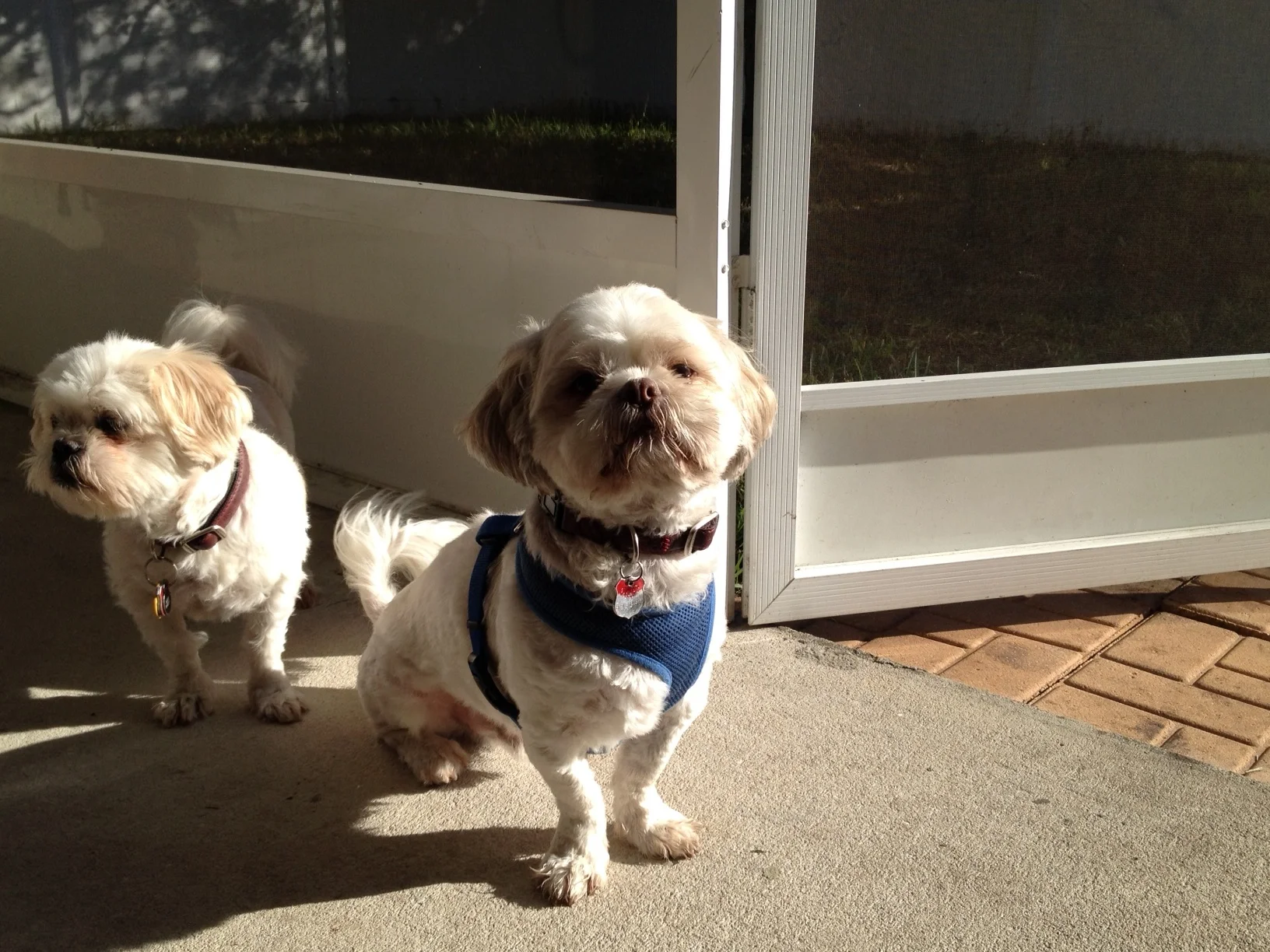 Thank You for Helping Charlie, He is Our Miracle!