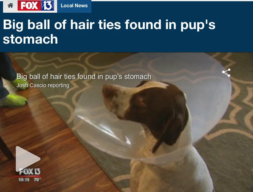 FOX NEWS 13 REPORTS ON LIFESAVING TREATMENT FOR BURKE