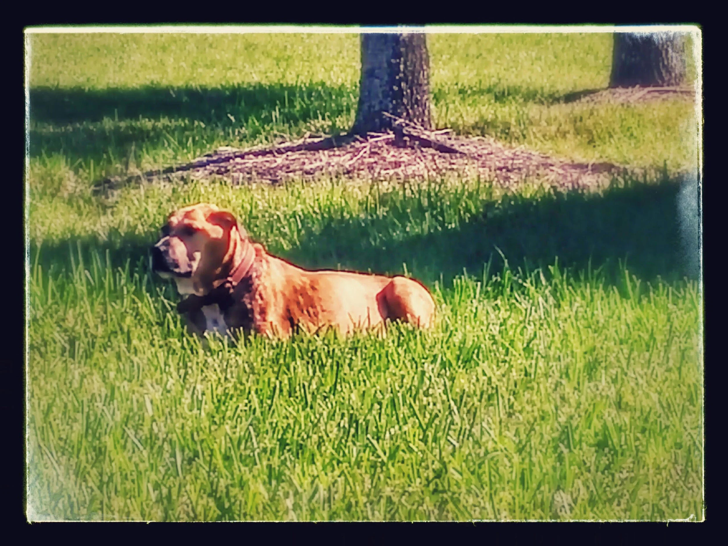 Our Wonderful Gemini