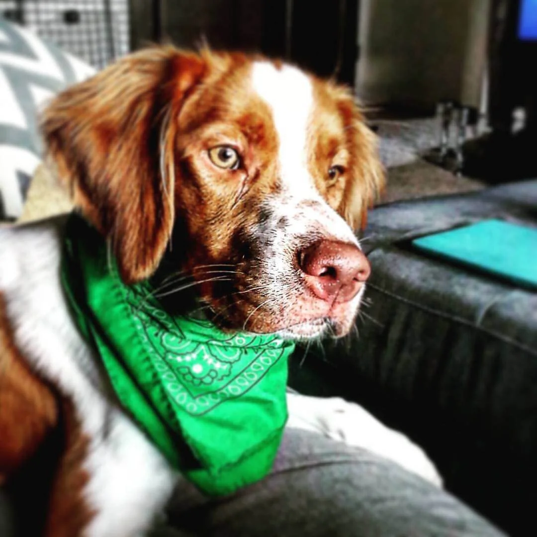 We Love Our Peanut Packer!