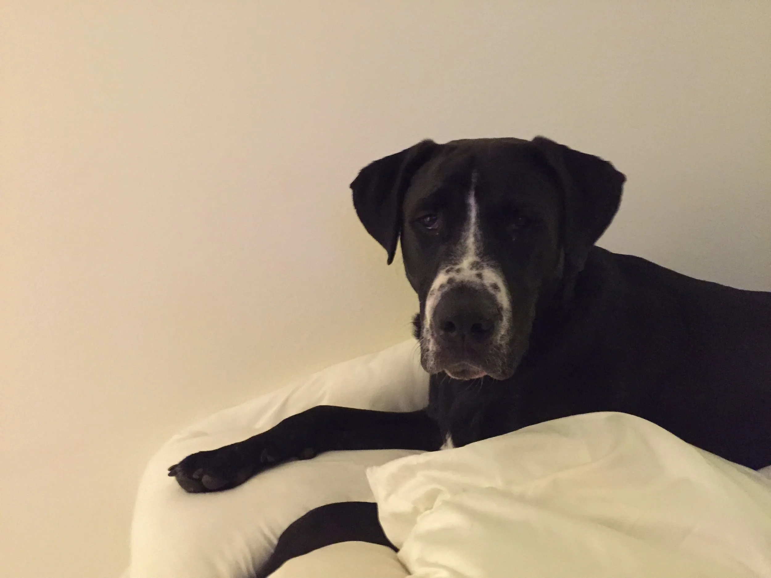 Your Kindness and Generosity Helped To Save BayLeigh's Life