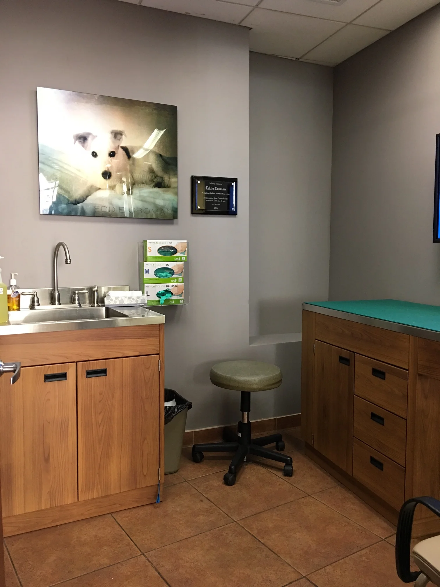 BLUEPEARL LAUNCHES THE NEW EDDIE CROMAN CONSULTATION ROOM, SAVING MORE PETS' LIVES IN NYC