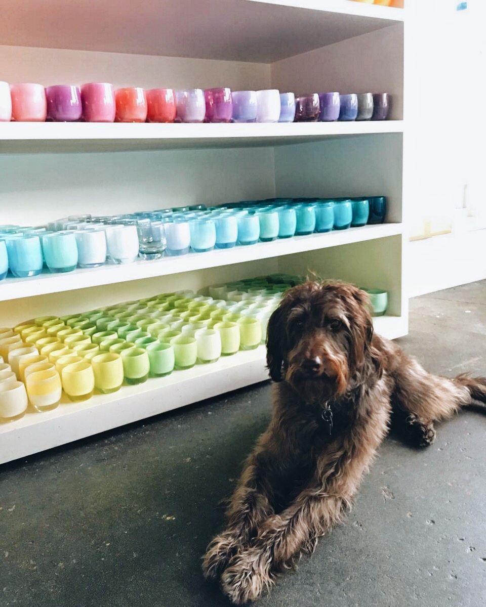 Announcing glassbaby Dog Days of Summer