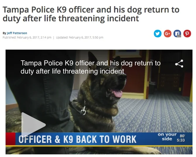 Tampa Police K9 officer and his dog return to duty after life threatening incident