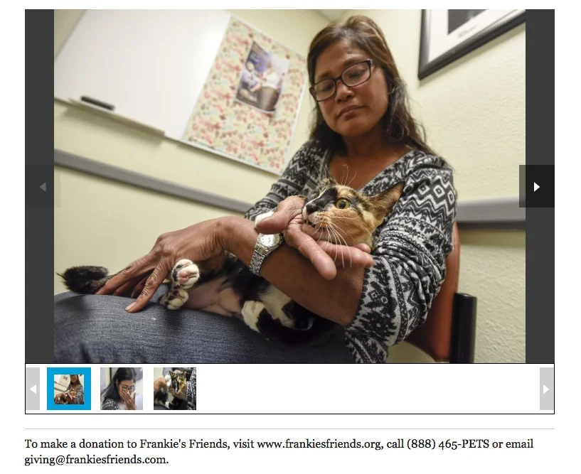 Tampa Bay Times: Tampa woman sees surviving cat as gift after losing six pets to house fire
