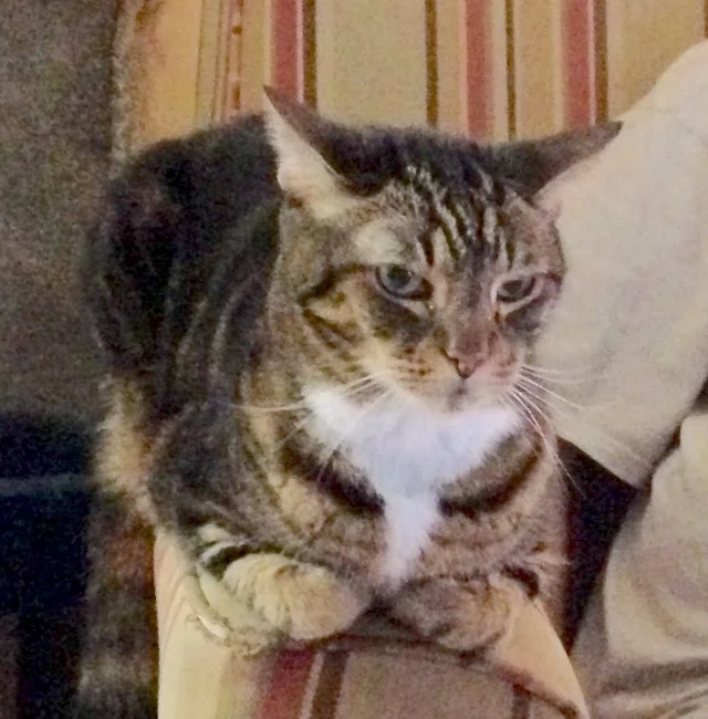 We Are So Happy That We Didn't Lose our Scooter!