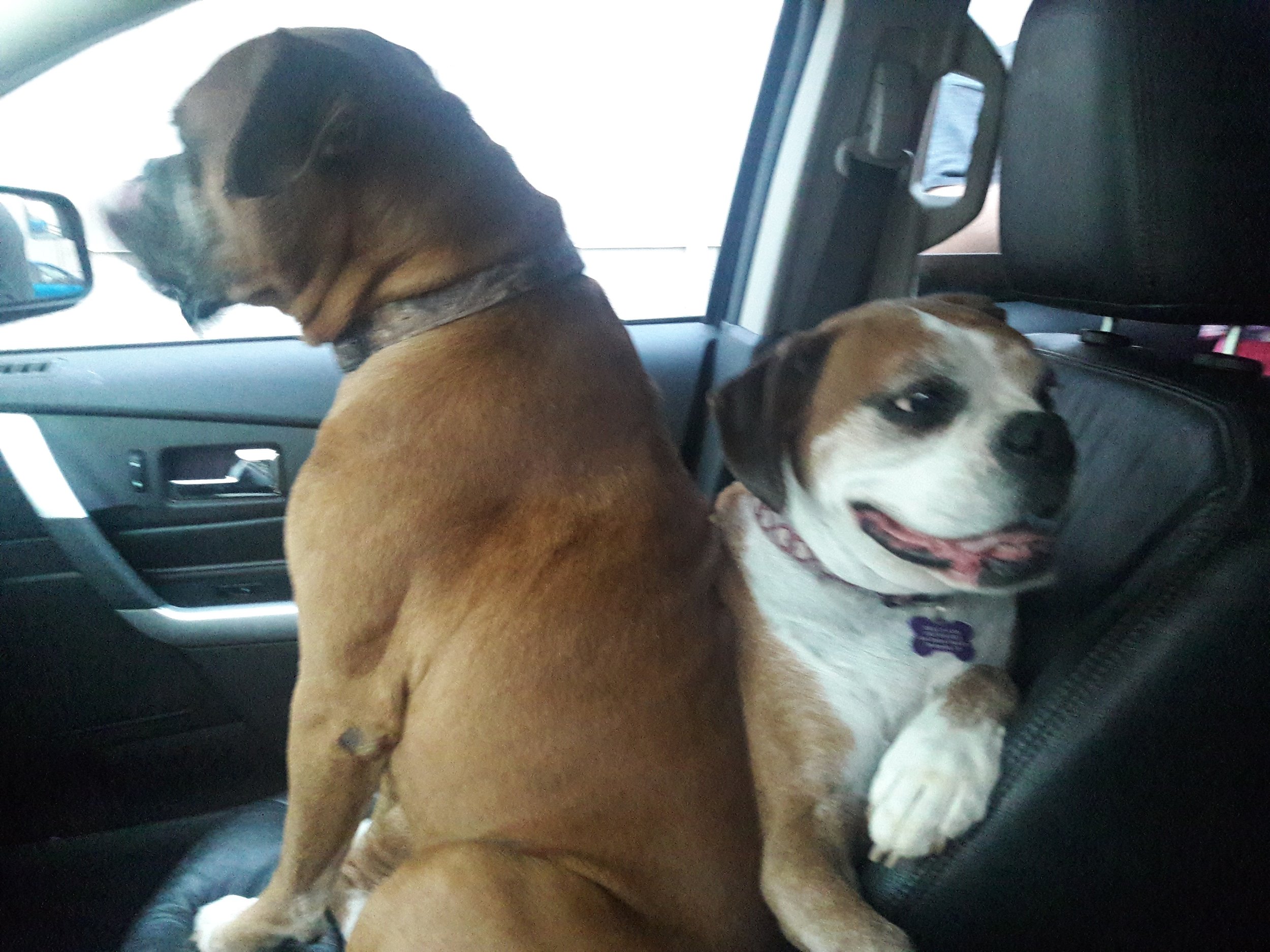 Best friends.