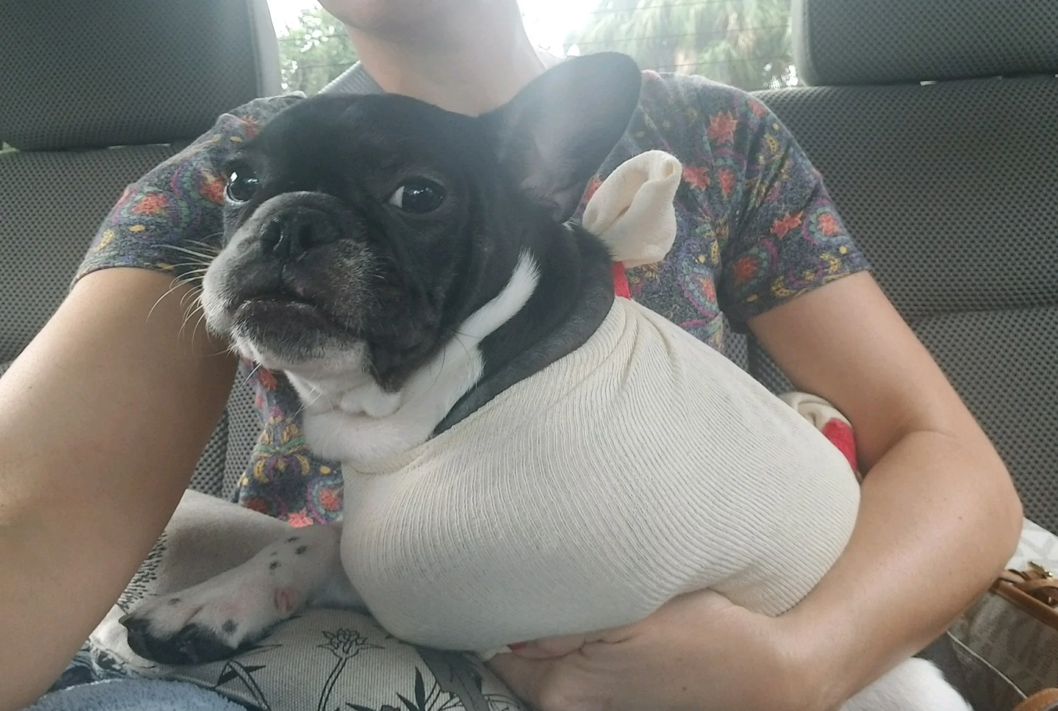 Thank Your From the Bottom of My Heart for Helping Bosley