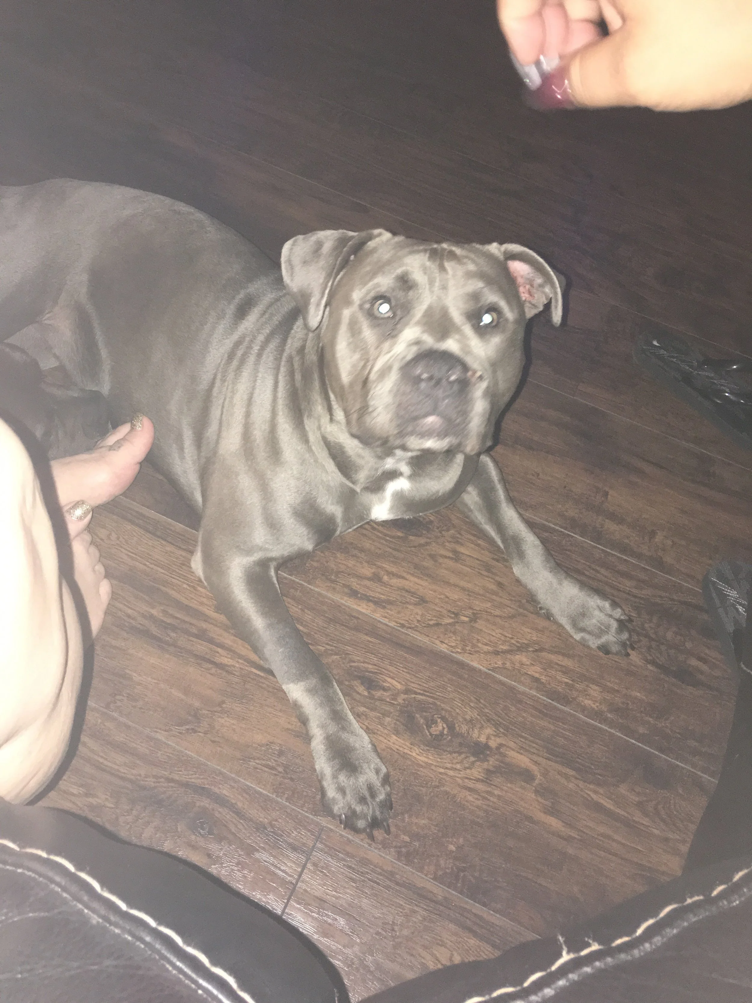 Thank You for Helping to Save My Baby Duchess's Life